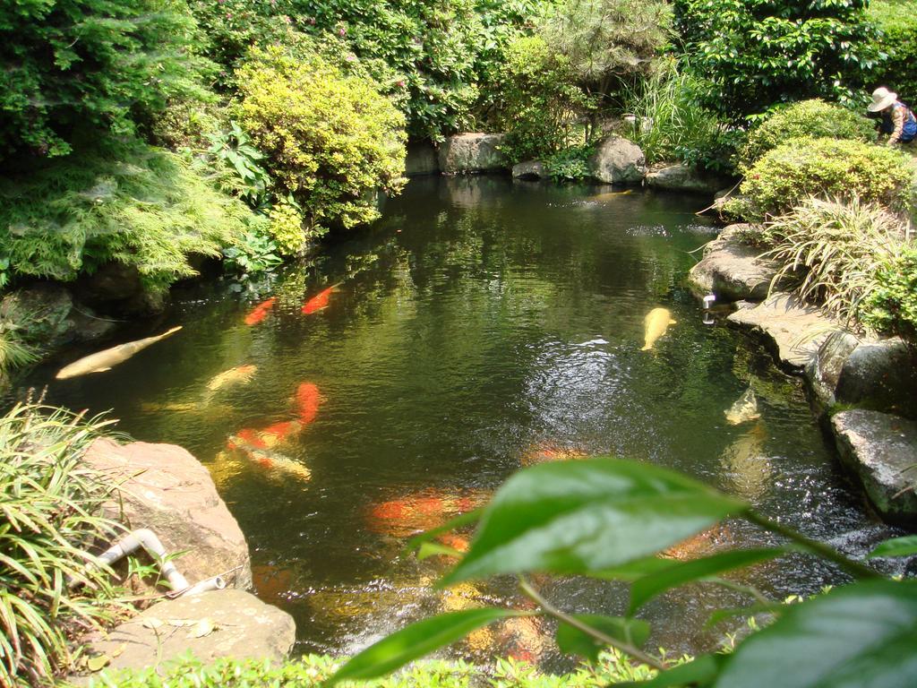 Kappo Ryokan Suimeisou Noda  Buitenkant foto